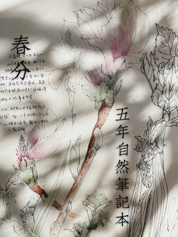 3DD0A707-1E3D-405D-AF2F-022F313E7738 2