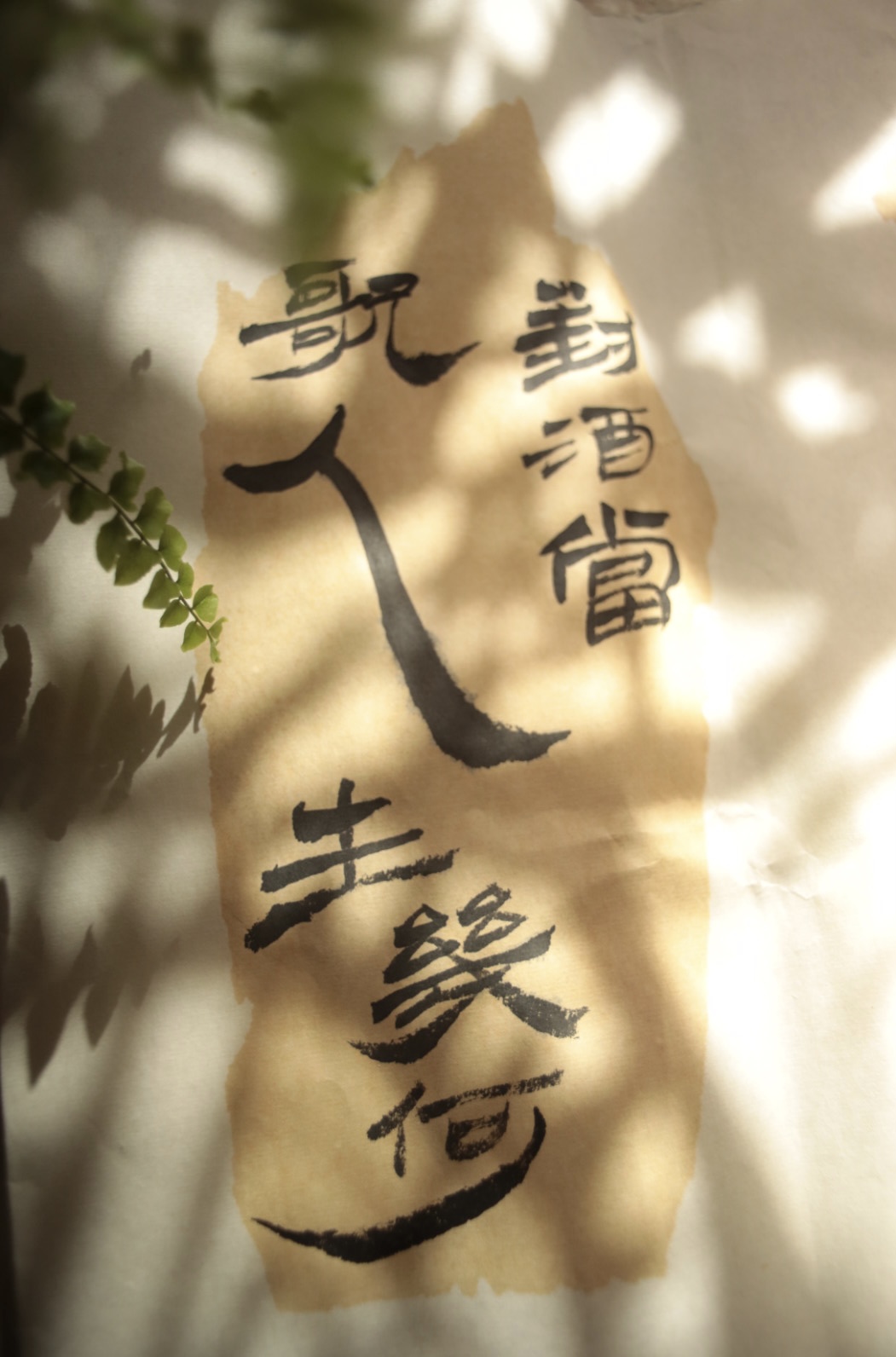 Chinese Calligraphy page