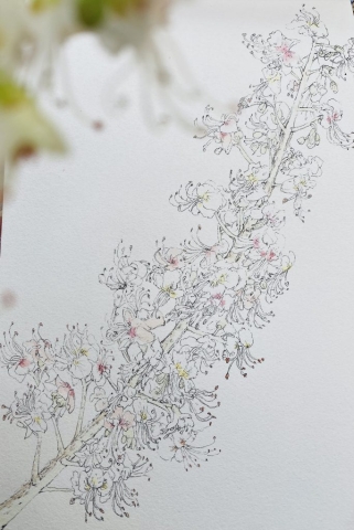 913BD958-914B-4475-804D-68115CEC6E1E