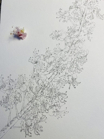 A2E1D80A-F38A-45A3-BC11-4A9886C4819A