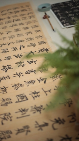 玄秘塔碑 Chinese calligraphy, brush pen on mothwing paper