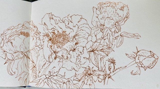 CC459254-EA99-41F2-8074-41DA0C44B003