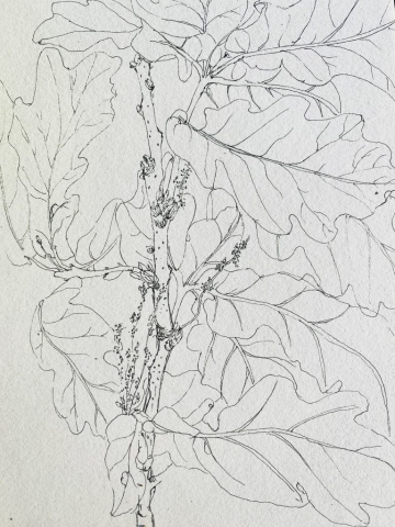 D965518F-5EEF-42F4-BE93-863C004D0D65