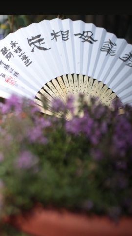 18D2314D-4A5F-496E-A90D-11E112B612A7