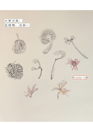 34C96919-5446-4F6E-AF40-5EF8C15E8959