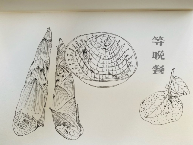 48FE3A27-4E95-4D9A-A6B2-DBCACEF7C696