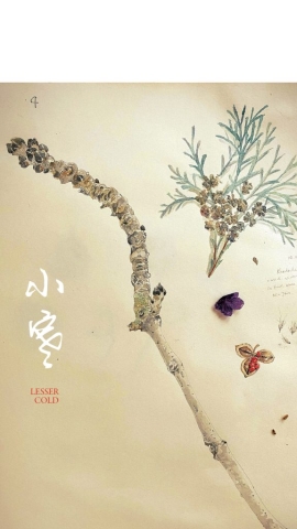 6779BEA5-2F3D-4704-99E7-3CC1BFFFBFBD