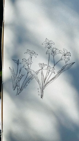 A508CBE8-B761-4A06-A233-E7569750F5B5