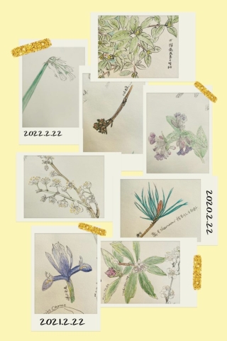 B8BFACC2-9084-4E09-9B7C-75196A67C8FE