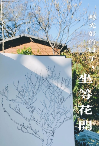 C13251BF-35F4-466A-A3AF-3602D4A174EE