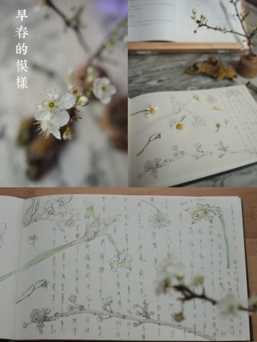 E753A11D-3D6D-4C20-B4CD-C53BCD8D7C47