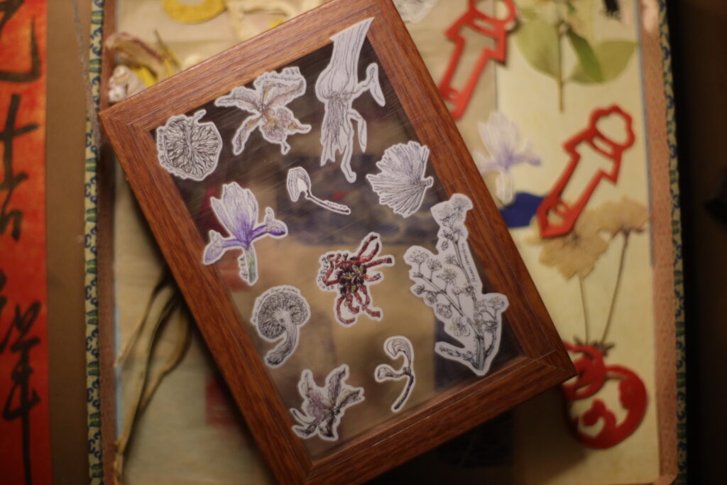 Winter Botanics