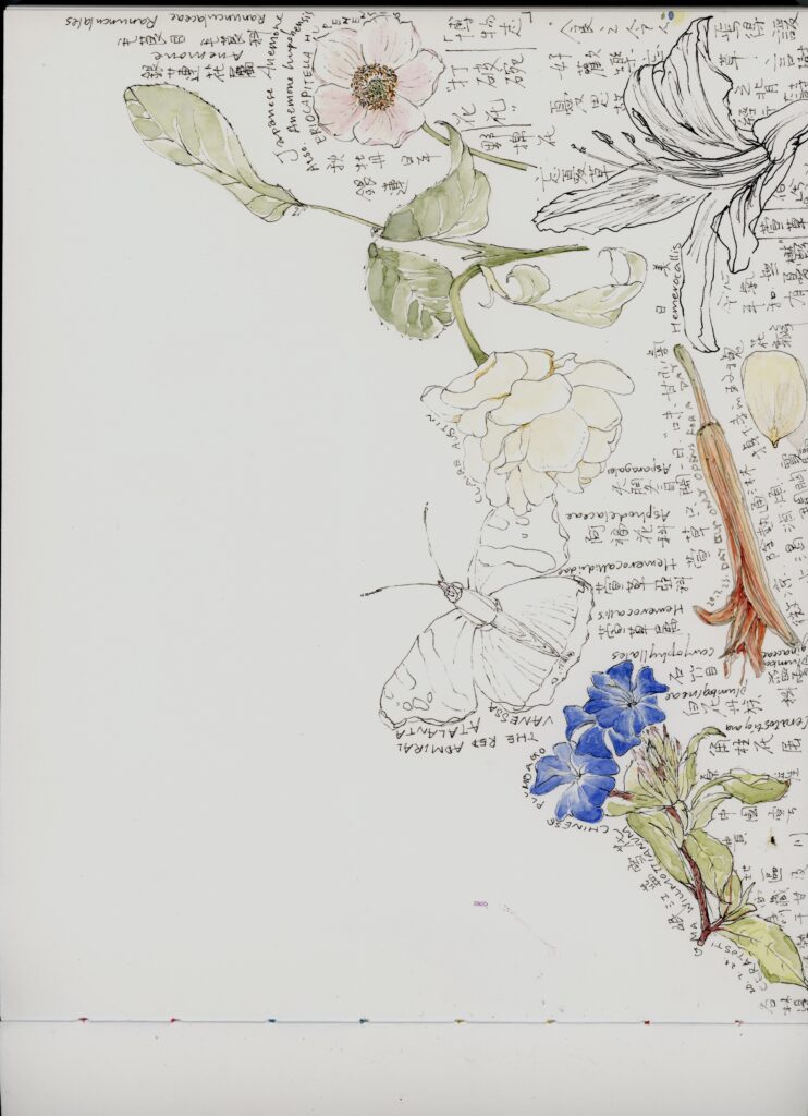 img20251217_21120074